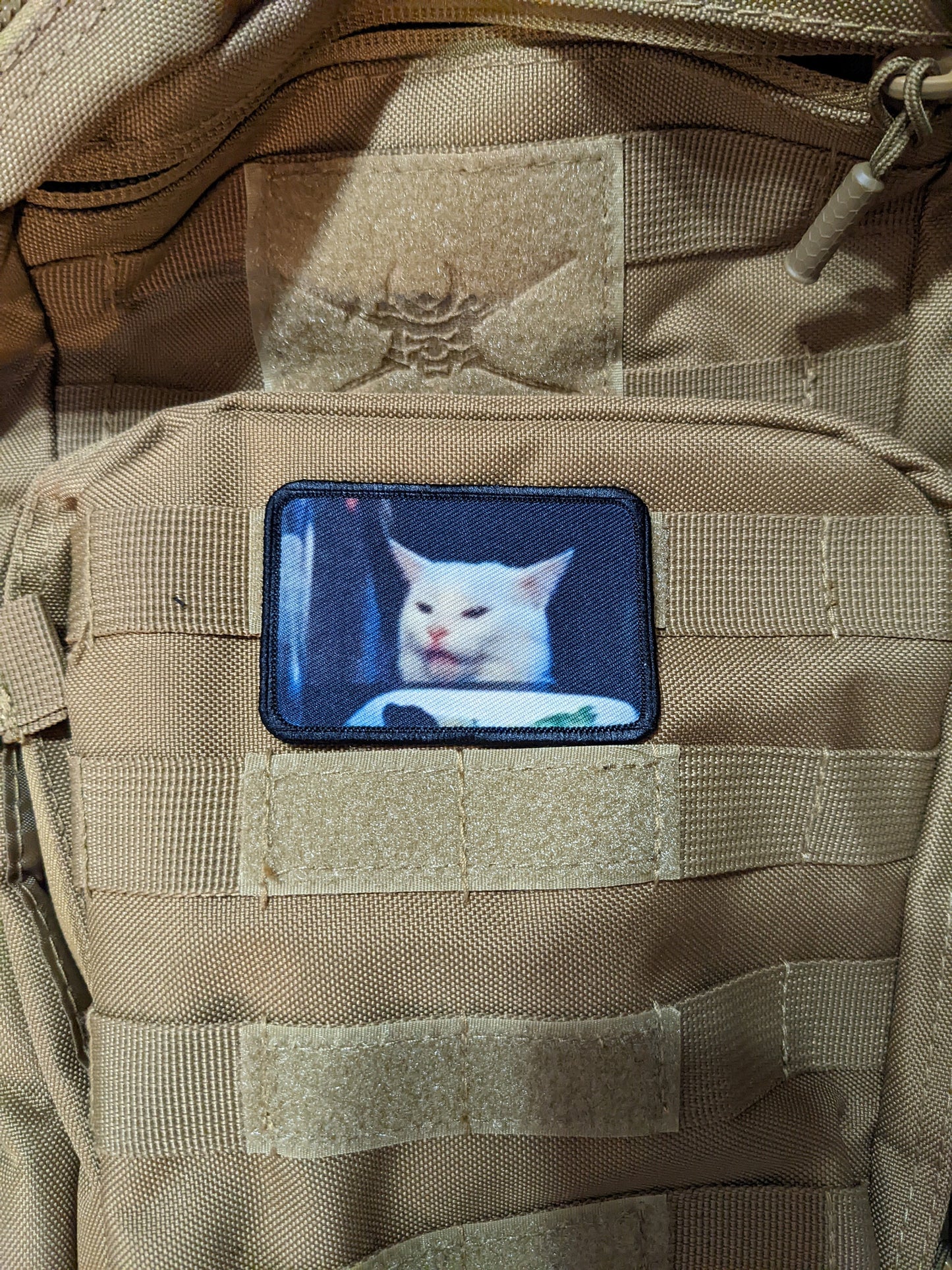 cat meme funny 2"x3" morale patch with hook and loop backing
