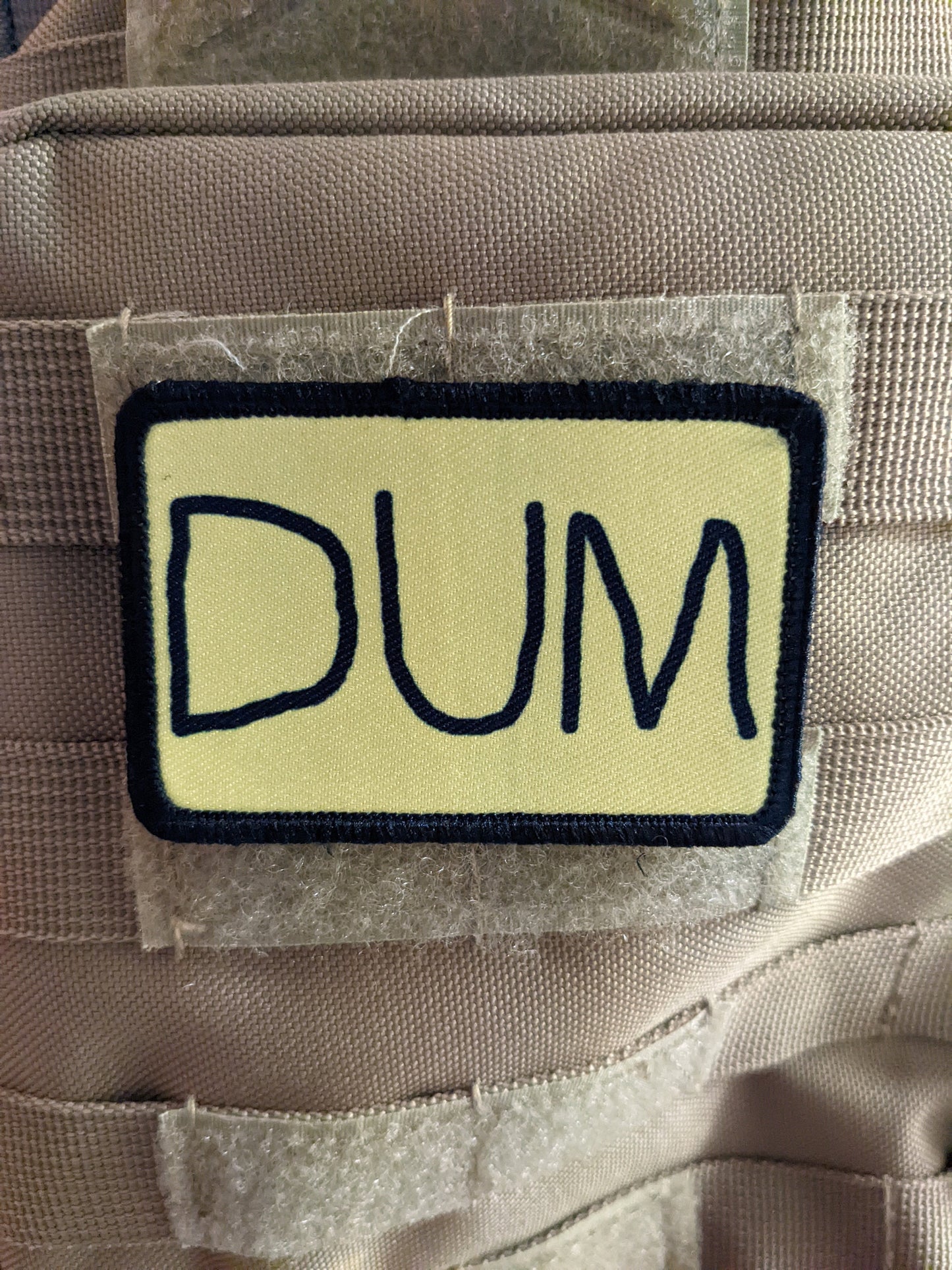 DUM (dumb) hat patch dunce cap meme 2"x3" morale patch with hook and loop backing