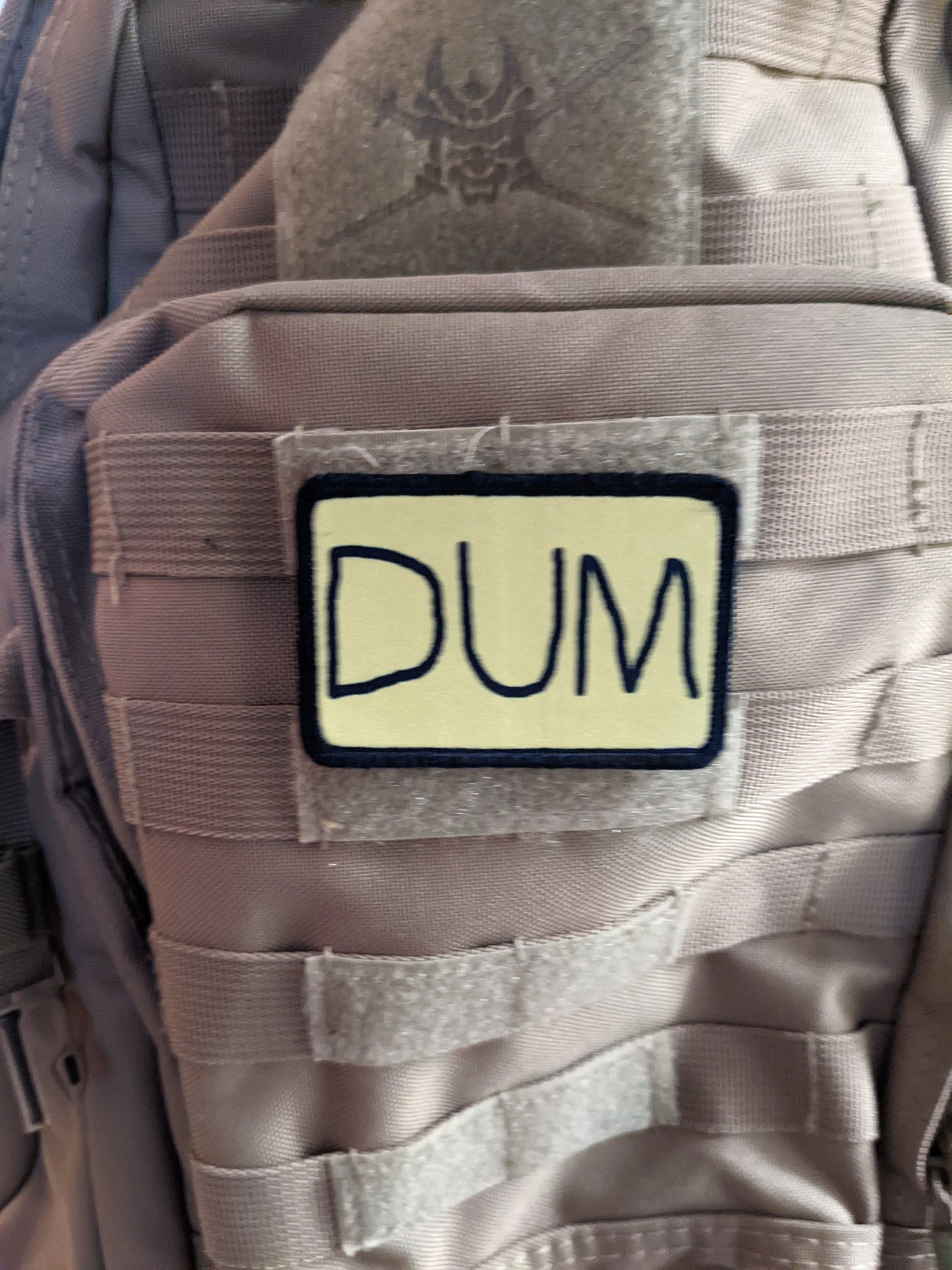 DUM (dumb) hat patch dunce cap meme 2"x3" morale patch with hook and loop backing