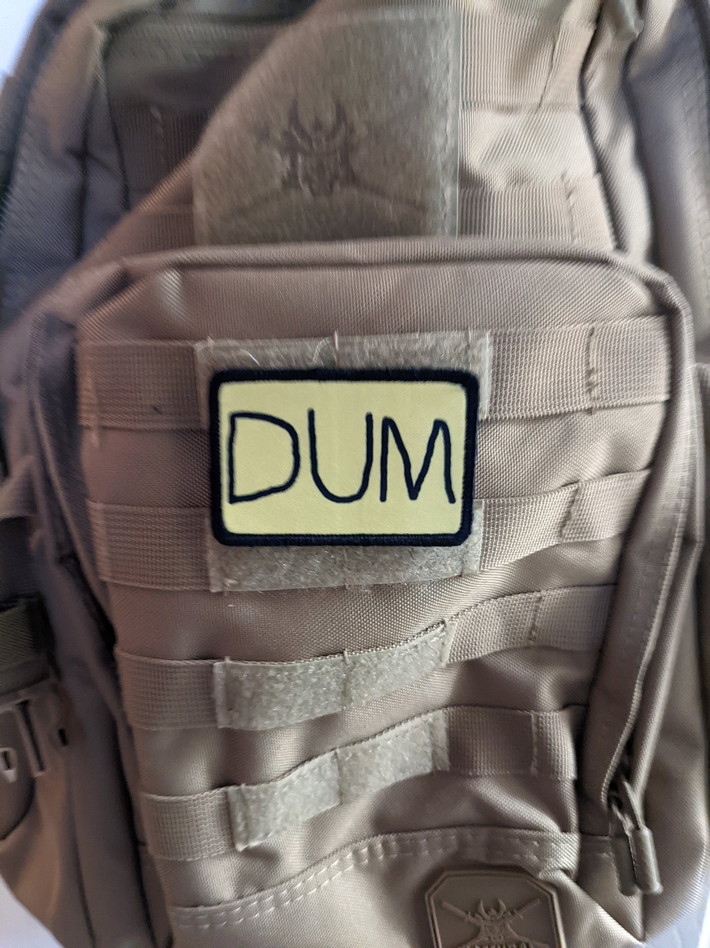 DUM (dumb) hat patch dunce cap meme 2"x3" morale patch with hook and loop backing
