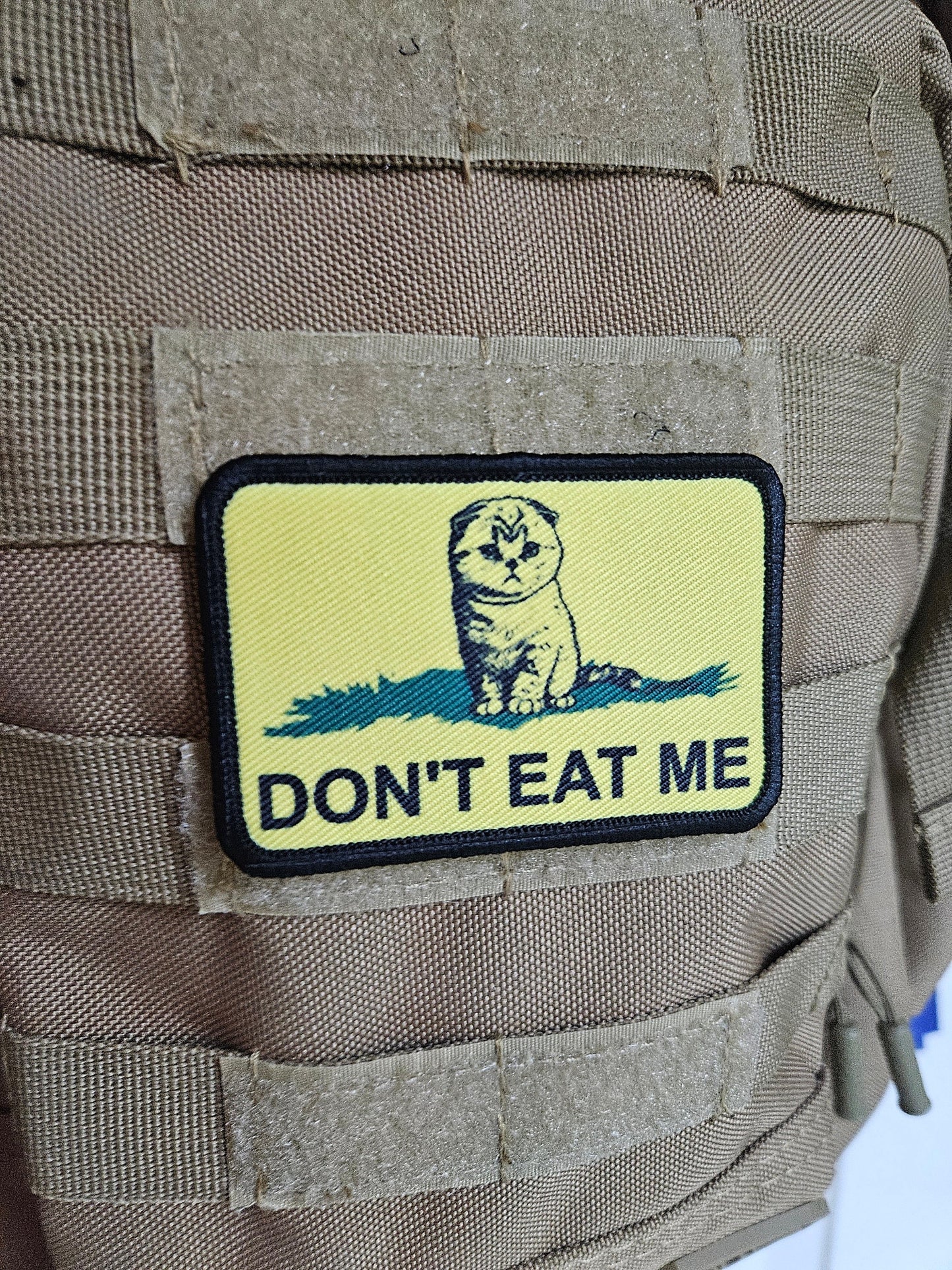 eating the cats kitten pet Gadsden flag meme 2"x3" removable morale patch with hook and loop backing