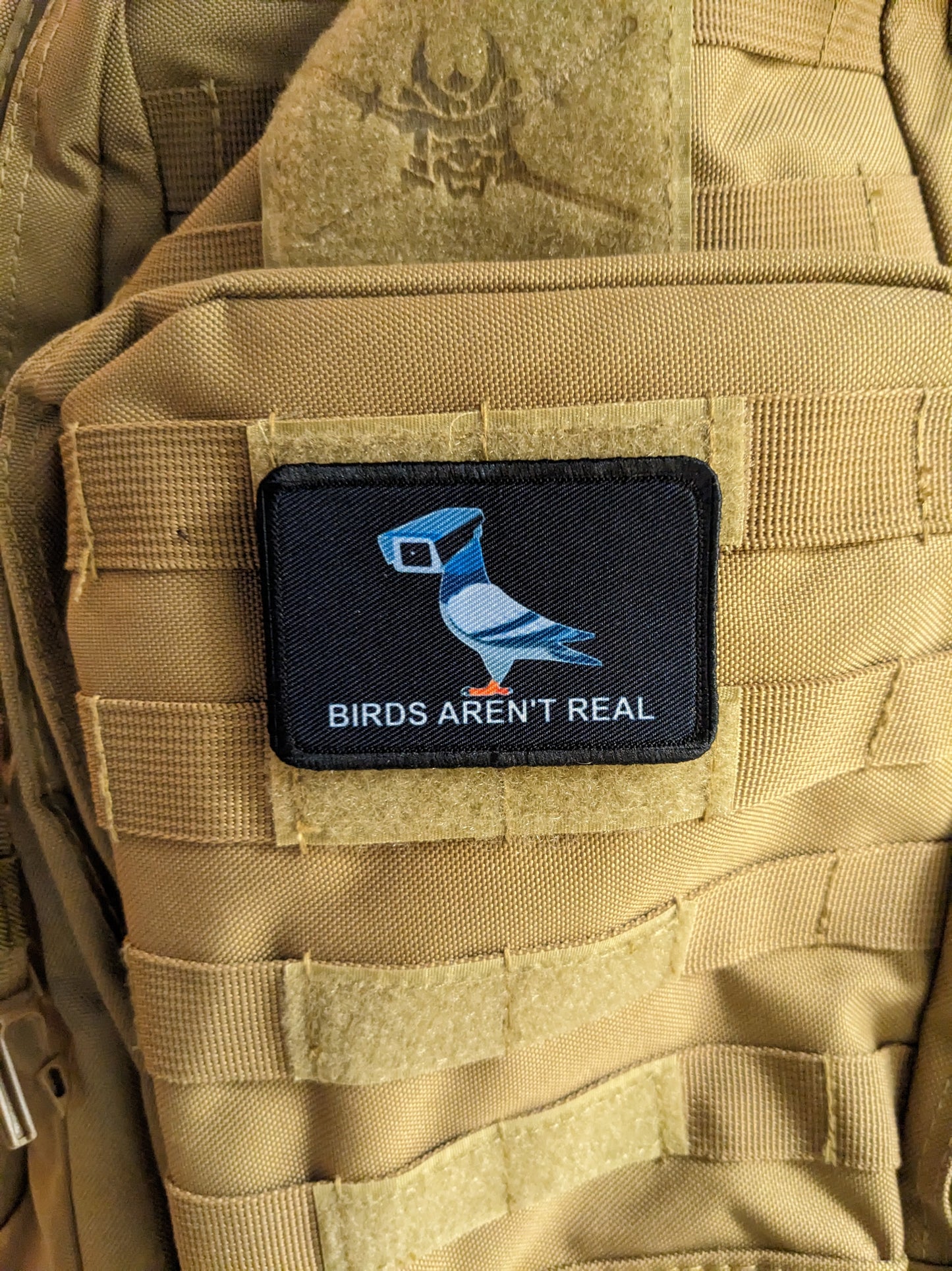 Birds aren't real conspiracy humor joke 2"x3" morale patch with hook and loop backing